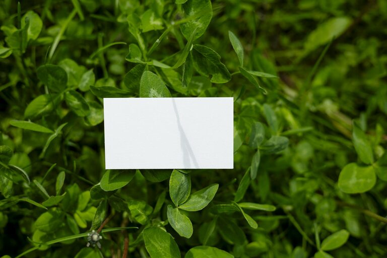 Post: How to set up a guest‑ready space quickly